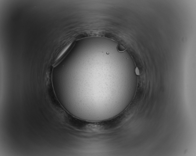 X0000088050699200705251322