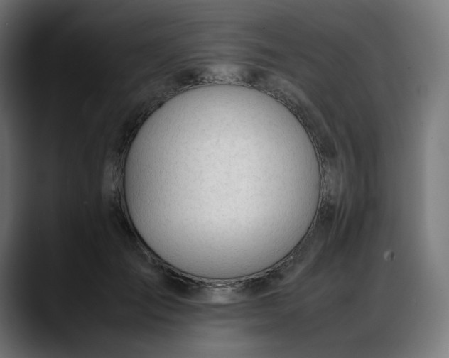 X0000088050701200705251322