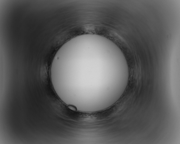 X0000088050702200705251322