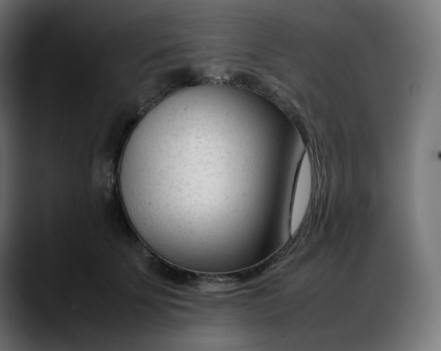 X0000088050707200705251322