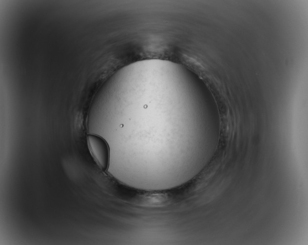 X0000088050711200705251322