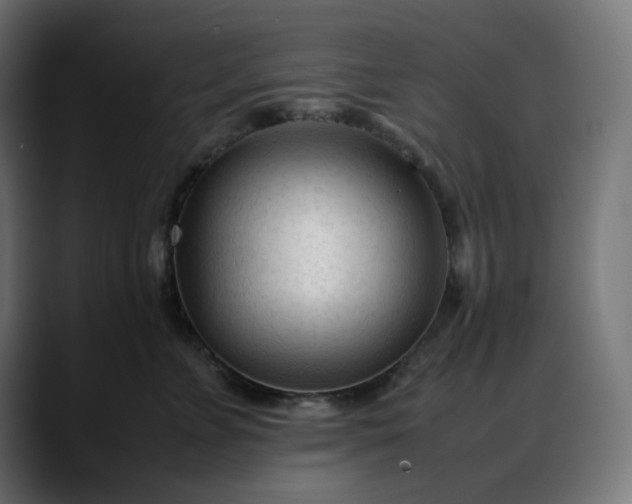 X0000088050715200705251322