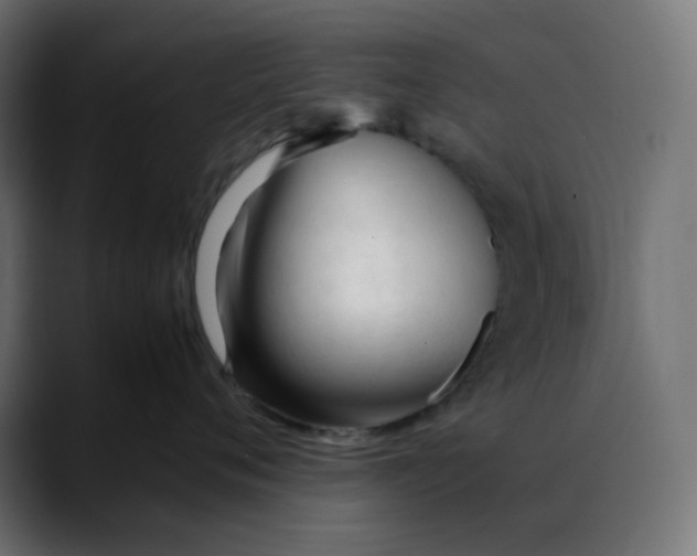 X0000088050720200705251322