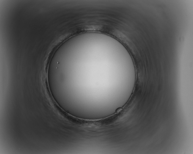 X0000088050721200705251321