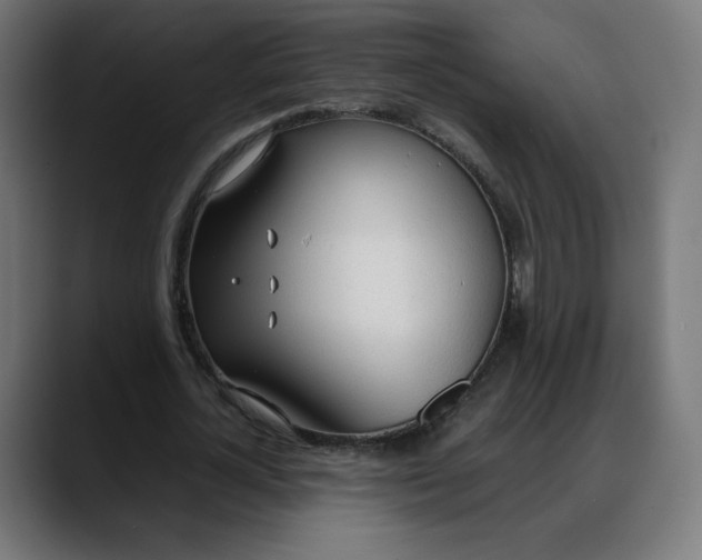 X0000088050724200705251321