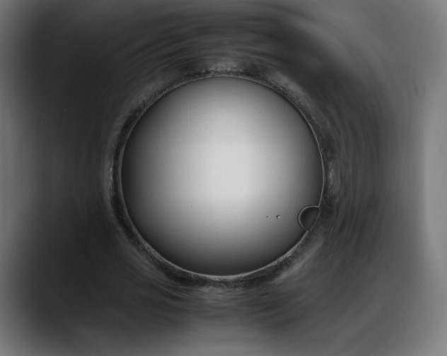 X0000088050725200705251321