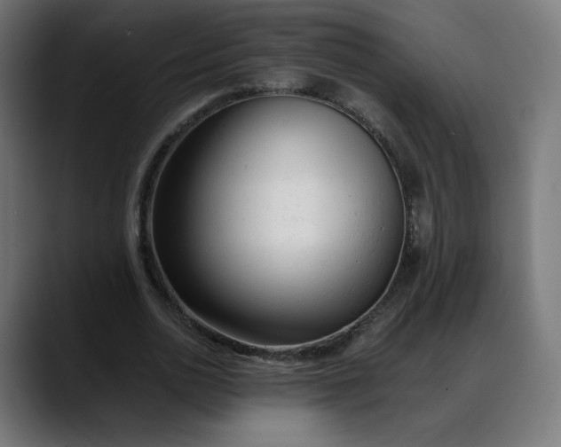 X0000088050726200705251321