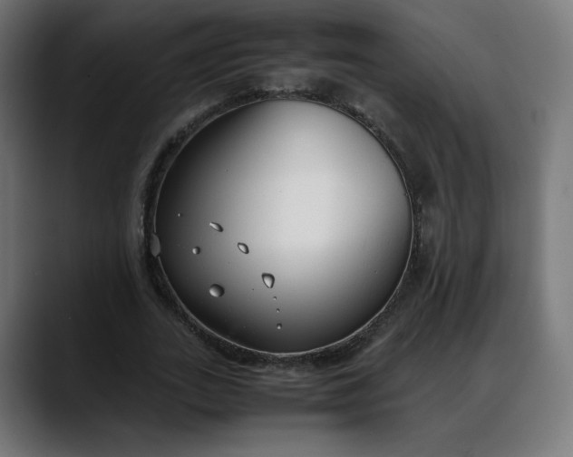 X0000088050727200705251321