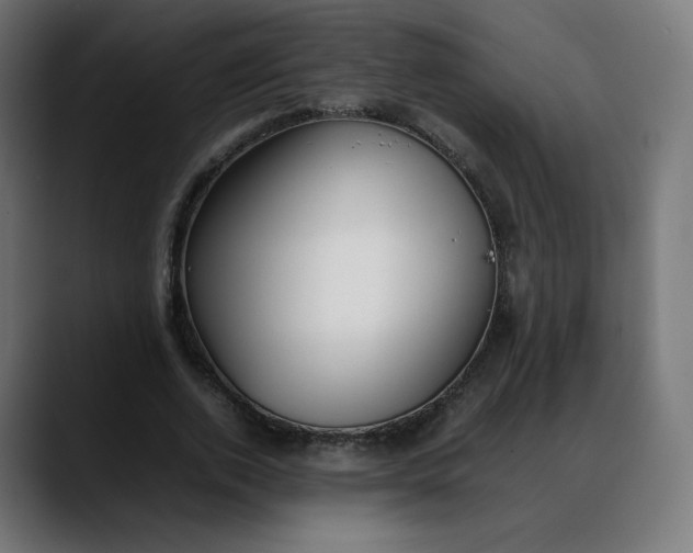 X0000088050728200705251321