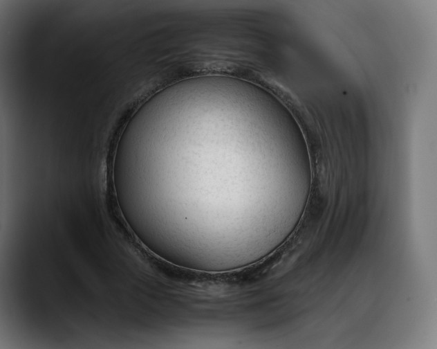 X0000088050729200705251321