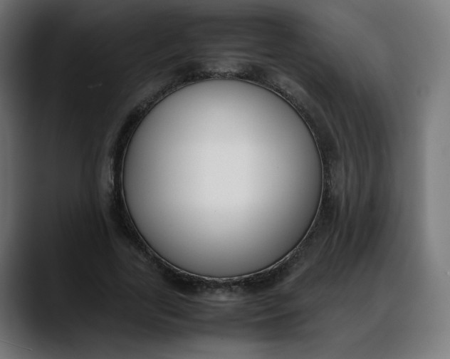 X0000088050731200705251322
