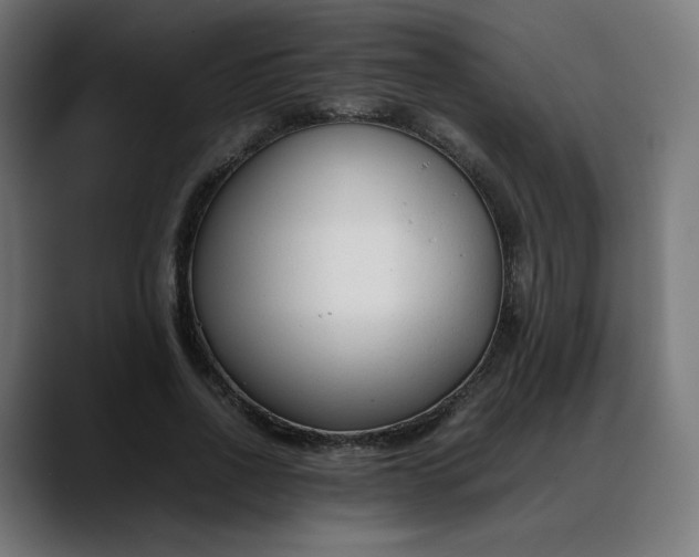 X0000088050734200705251322