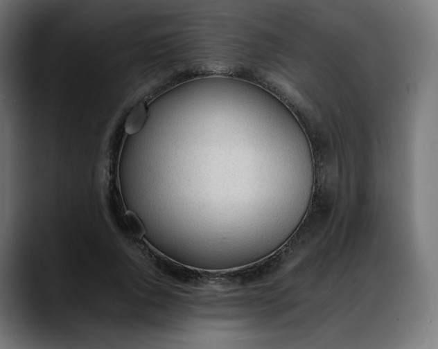X0000088050736200705251322