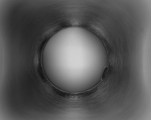 X0000088050740200705251322