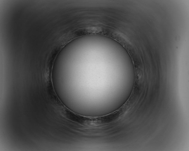 X0000088050745200705251322