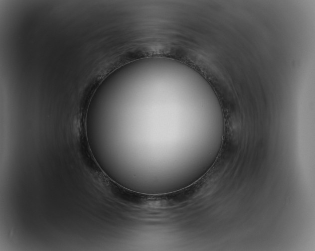 X0000088050746200705251322