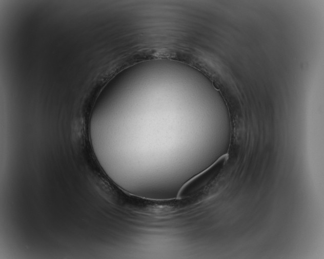 X0000088050748200705251322