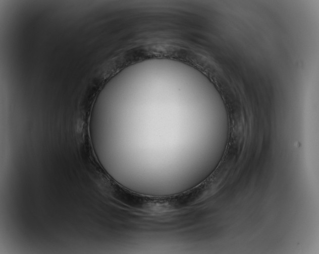 X0000088050749200705251322