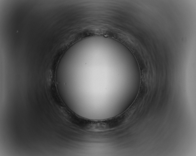 X0000088050752200705251322