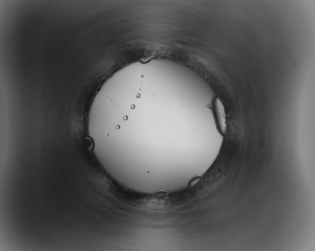 X0000088050756200705251322