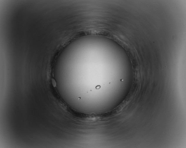 X0000088050760200705251322