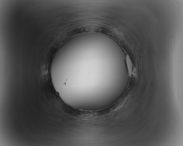 X0000088050771200705251321