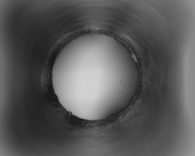 X0000088050776200705251321