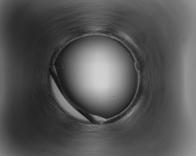 X0000088050777200705251321