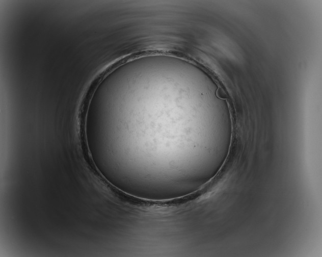 X0000088050779200705251321