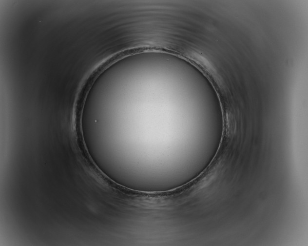 X0000088050780200705251321