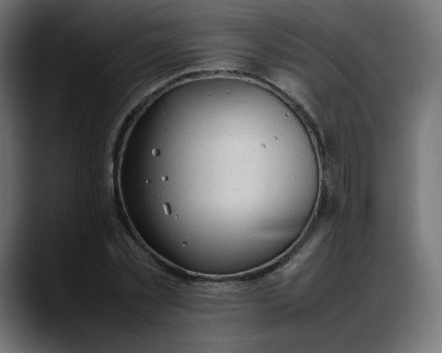 X0000088050781200705251321