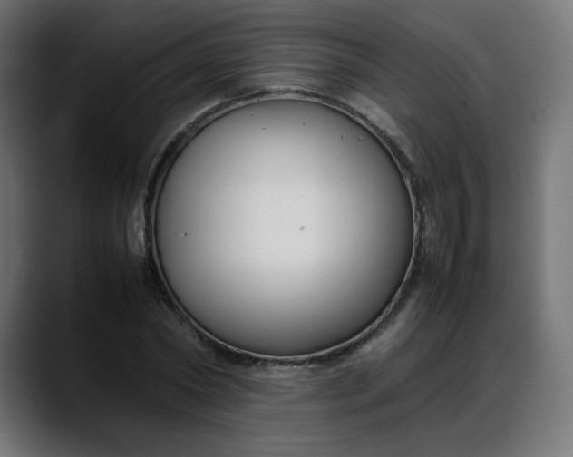 X0000088050782200705251321