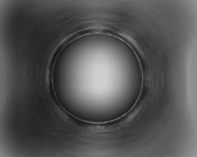 X0000088050783200705251321