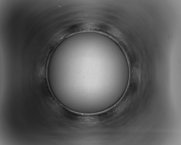 X0000088050785200705251321