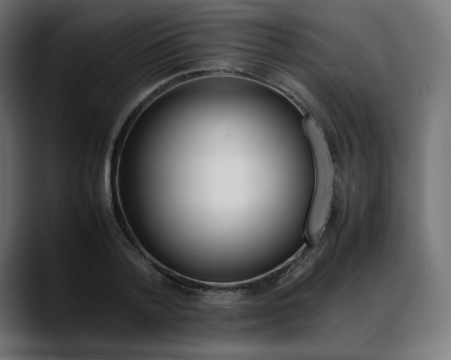 X0000088050788200705251321