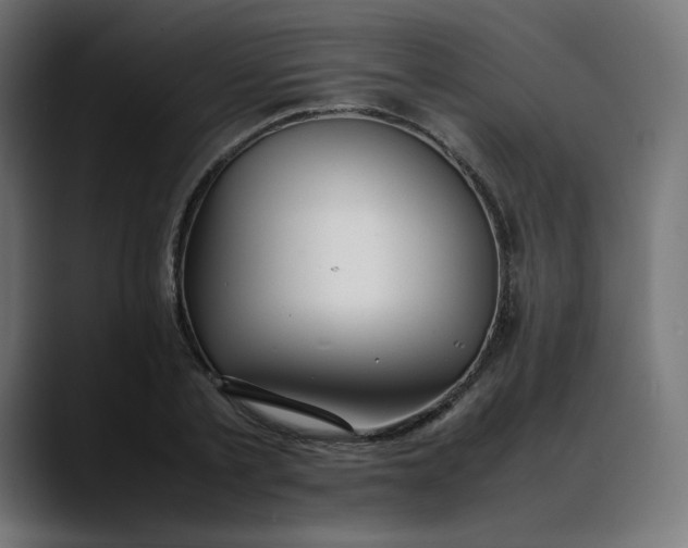 X0000088050789200705251321