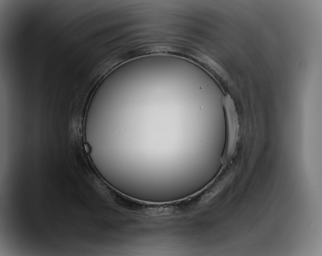 X0000088050793200705251321