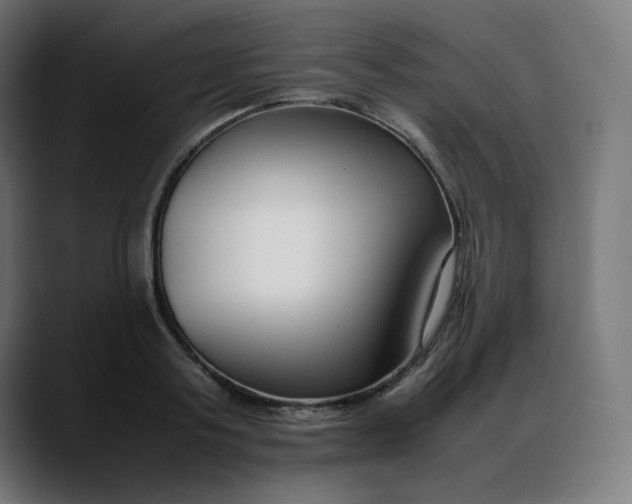 X0000088050795200705251321