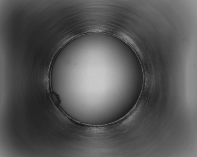X0000088050802200705251321