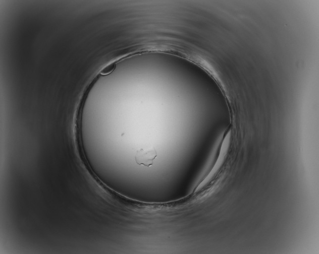 X0000088050803200705251321