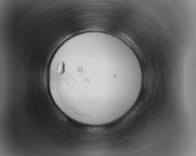 X0000088050804200705251321
