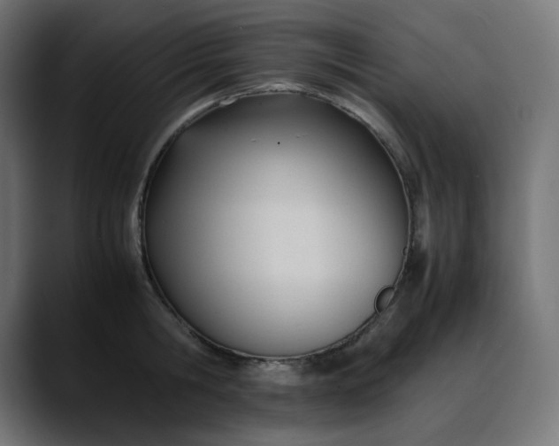 X0000088050806200705251321