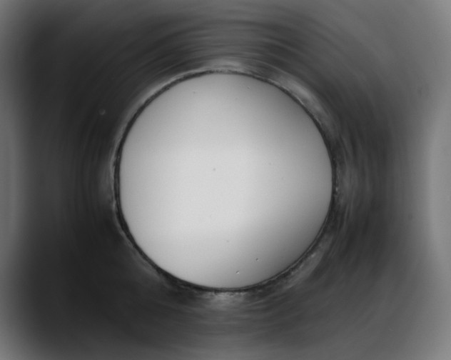 X0000088050808200705251321