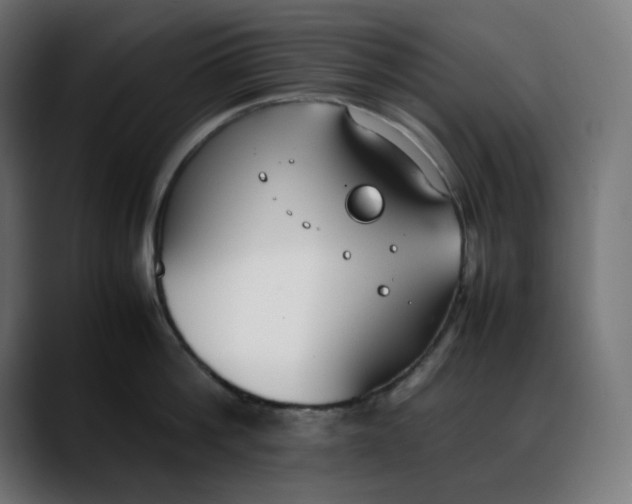 X0000088050812200705251321