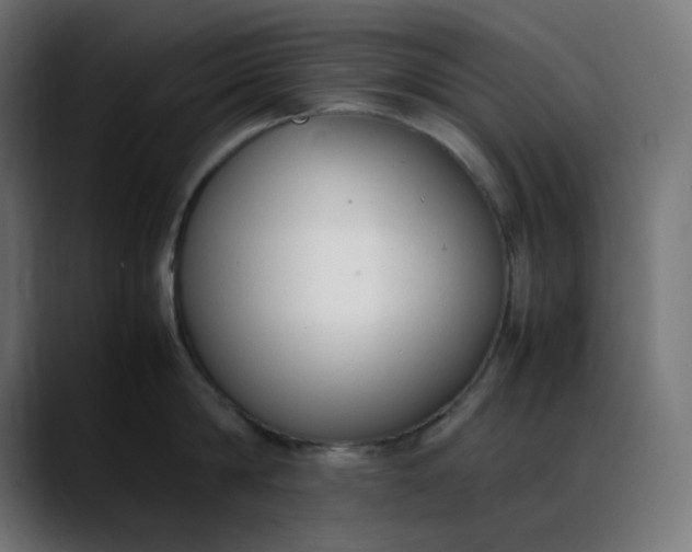 X0000088050814200705251321