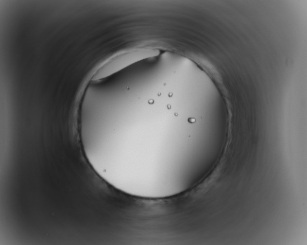 X0000088050816200705251321
