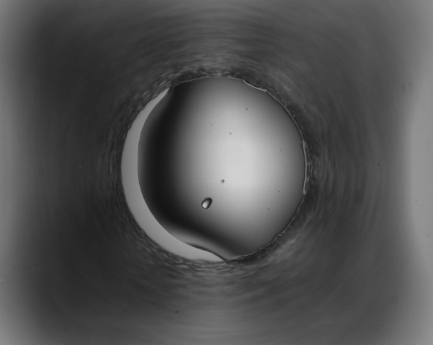 X0000088050818200705251320