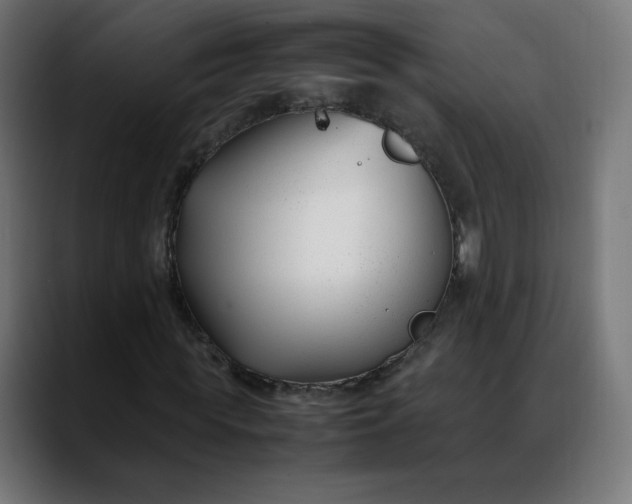 X0000088050819200705251320