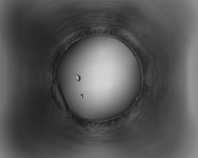 X0000088050821200705251320
