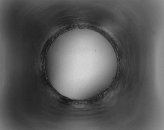 X0000088050823200705251320
